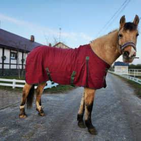 Попона вафельная