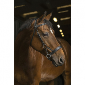 Оголовье Сайд-пул Norton Pro