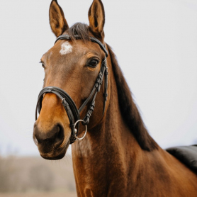 Оголовье «Strass V»