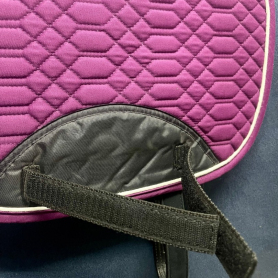 Выездковый вальтрап